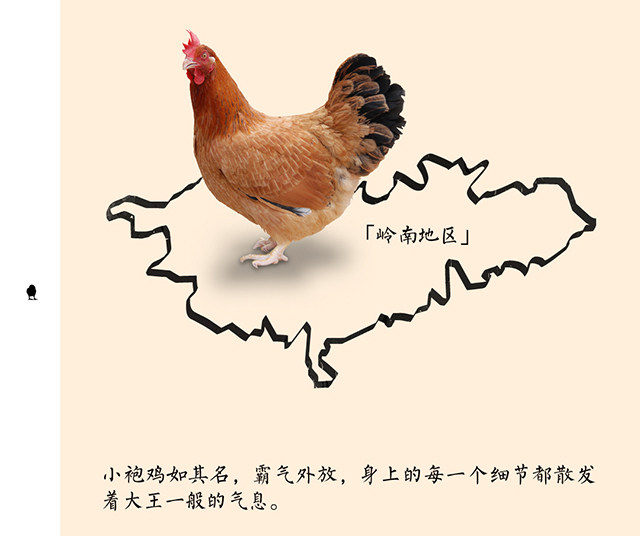 【老沈的鸡】“鸡票”兑换 【老沈的鸡】“鸡票”兑换