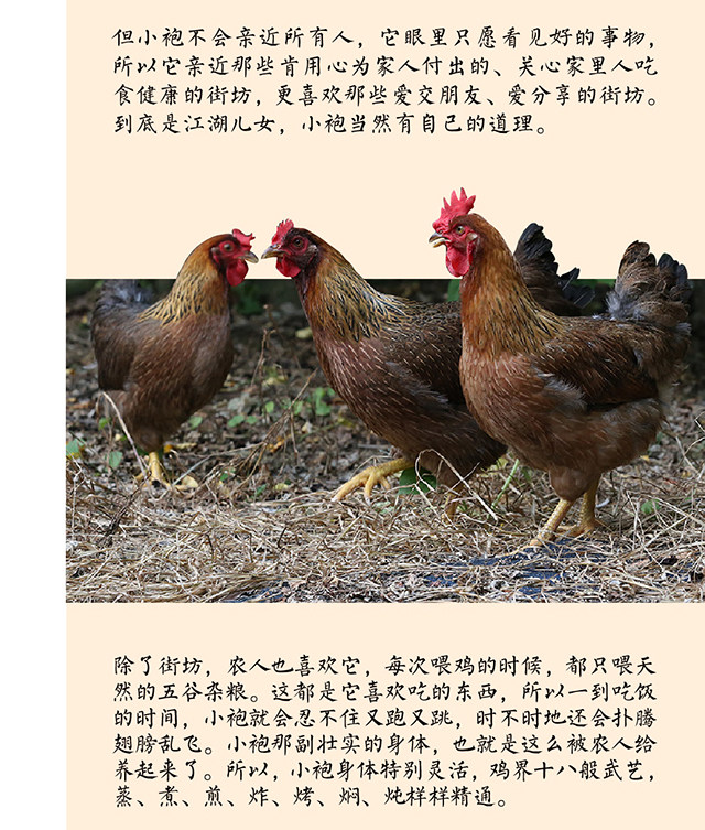 【老沈的鸡】“鸡票”兑换 【老沈的鸡】“鸡票”兑换